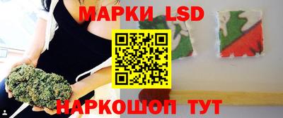 индика Тула